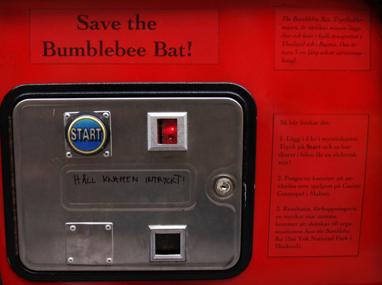 Save the Bumblebee Bat! 3